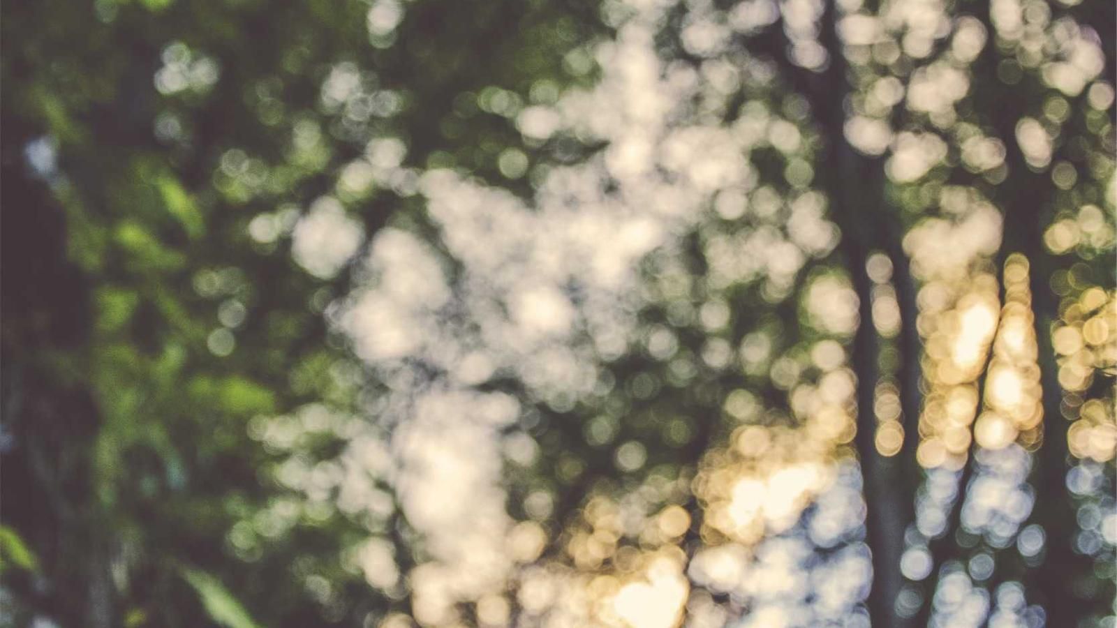10 Email Automation Workflows Every Business Needs in 2026